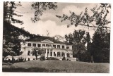 carte postala(ilustrata)-SAVIRSIN-vedere