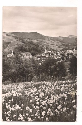 carte postala(ilustrata)-ABRUD-vedere foto