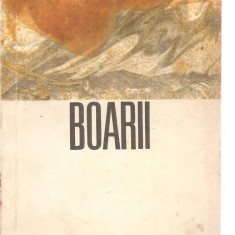 (C3504) BOARII DE ADA ORLEANU, EDITURA PENTRU LITERATURA, 1968, NUVELE