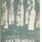 (C3513) VIATA SENTIMENTALA A LUI BERLIOZ DE ETIENNE REY, ED MUZICALA, 1967, TRADUCERE, SI PREFATA DE JEAN-VICTOR PANDELESCU