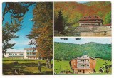 Carte postala(ilustrata)-HUNEDOARA-Cabana Rusu, Necirculata, Printata