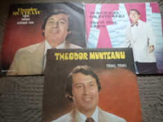 THEODOR MUNTEANU lot discuri vinyl electrecord lp muzica usoara pop slagare foto