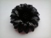 Bronsa neagra .