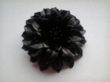 Bronsa neagra .