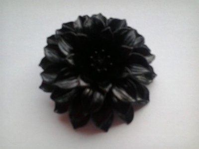 Bronsa neagra . foto