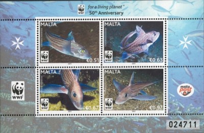 MALTA 2011 WWF PESTI foto
