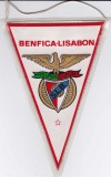 Fanion fotbal BENFICA LISABONA