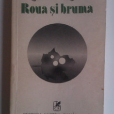 ROUA SI BRUMA DE ROMULUS RUSAN,EDITURA CARTEA ROMANEASCA 1982,245PAG,STARE FOARTE BUNA
