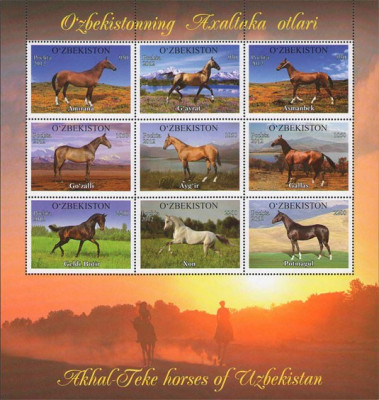 UZBEKISTAN 2012 RASE DE CAI, serie neuzata, MNH foto