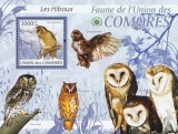 COMORE 2009 PASARI-BUFNITE VANZARE LA VALOARE NOMINALA 6 EURO, Africa de sud, Natura