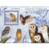 COMORE 2009 PASARI-BUFNITE VANZARE LA VALOARE NOMINALA 6 EURO