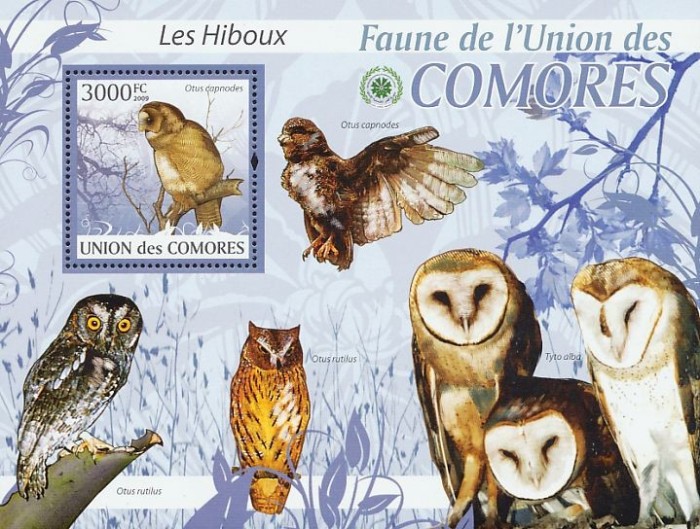 COMORE 2009 PASARI-BUFNITE VANZARE LA VALOARE NOMINALA 6 EURO