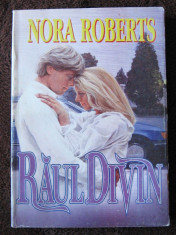 Nora Roberts - Raul divin foto
