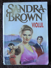 Sandra Brown - Violul foto