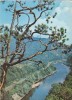 Vedere carte postala Valea Oltului la Cozia, circulata 1974, Fotografie