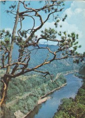 Vedere carte postala Valea Oltului la Cozia, circulata 1974