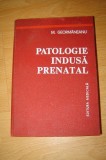 M. Geormaneanu - Patologie Indusa Prenatal