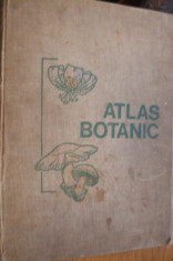 ATLAS BOTANIC - L. Popovici, C. Moruzi, I. Toma -- [ 1973, 215 p ] foto