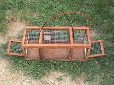 prinzatoare/capcana automata pasari mici foto