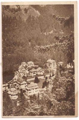 carte postala(ilustrata)-TUSNAD-Vedere foto