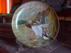 Farfurie decorativa de colectie Franklin Porcelain, decor raritate 1981din SUA, din colectia Water Birds Of The World, stare perfecta, am tot setul foto