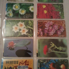 Lot 20 cartele telefonice Korea - flori si altele + folie de plastic + taxele postale = 30 roni