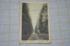 Tusnad - bai - Drumul vechiu - 1929, Circulata