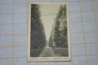 Tusnad - bai - Drumul vechiu - 1929 foto