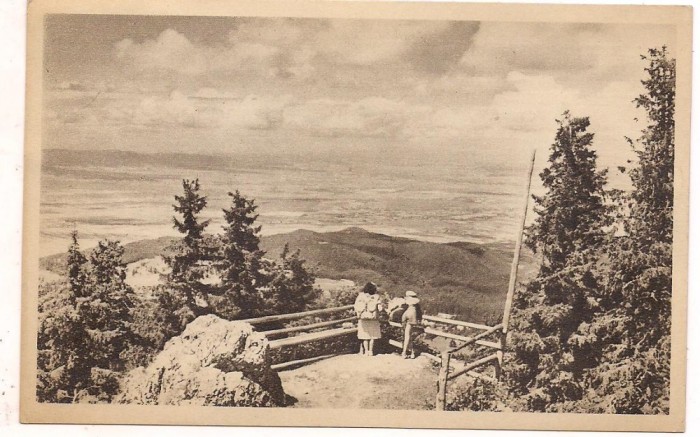 carte postala(ilustrata)-POSTAVARUL-Vedere spre Poiana Stalin
