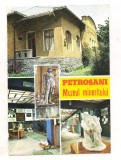 Carte postala-PETROSANI-colaj, Circulata, Printata