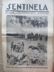 Sentinela , gazeta ostaseasca a natiunii , nr. 8 , 6 februarie 1942 , razboiul din est , Crimeea , Cavaleria Regala Militara foto