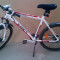 Bicicleta Mountain Bike, Model Vertec Sport, X - Fact cu garantie