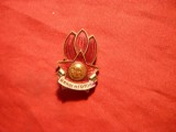 Insigna veche Pionier - Bulgaria