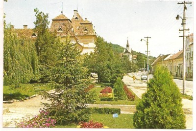 carte postala(ilustrata) -MURES- Tarnaveni foto