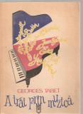 (C3805) A TRAI PRIN MUZICA DE GEORGES TABET, EDITURA MUZICALA, BUCURESTI, 1989, TRADUCERE SI NOTE DE CONSTANTA OANCEA