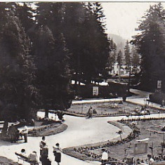 Borsec, vedere din parc, vedere carte postala, circulata 1968