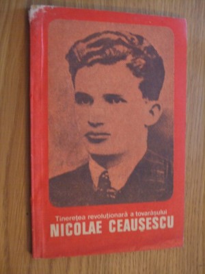 Tineretea Revolutionara a Tovarasului NICOLAE CEAUSESCU - O. Matichescu - 1981 foto