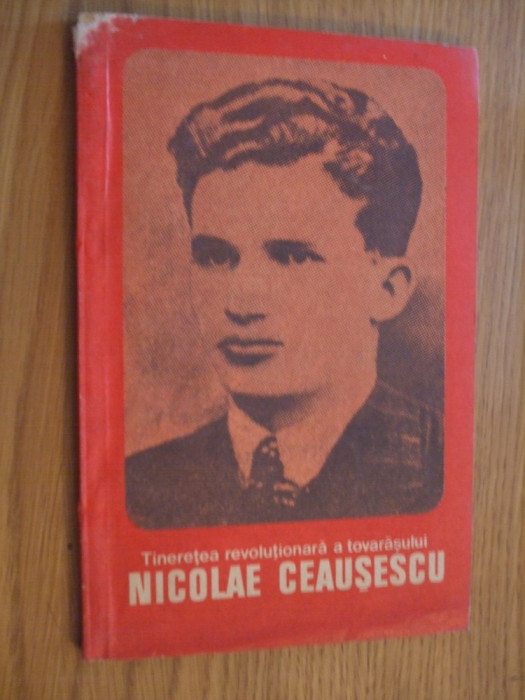 Tineretea Revolutionara a Tovarasului NICOLAE CEAUSESCU - O. Matichescu - 1981
