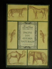 PAGINI DIN ISTORIA NATURALA Buffon foto