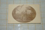 Palermo - 1929