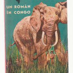 Aurel Lecca si Val Tebeica - Un roman in Congo