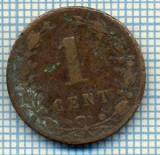 804 MONEDA - OLANDA - 1 CENT -anul 1880 -starea care se vede