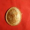Insigna Sapca -Grad inf. -RSR