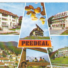 Predeal, vedere carte postala, circulata 1986