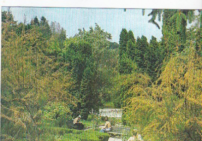 Olanesti, vedere din Parc, vedere carte postala, circulata 1985 foto