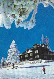 Masivul Postavarul, cabana Cristianul Mare, vedere carte postala circulata 1983, Fotografie