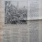 Foaia interesanta , Orastie , 29 Oct. 1914 ; Intocmita de Ioan Mota