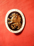 Insemn -Insigna - Ordinul Cavalerilor Dragonului -Germania, Europa