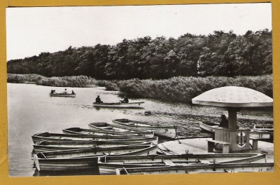 AMARA IALOMITA 1968 foto