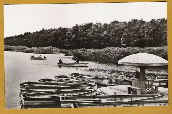 AMARA IALOMITA 1968